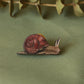 Snail pin - wooden snail brooch