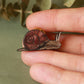 Snail pin - wooden snail brooch