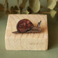 Snail pin - wooden snail brooch