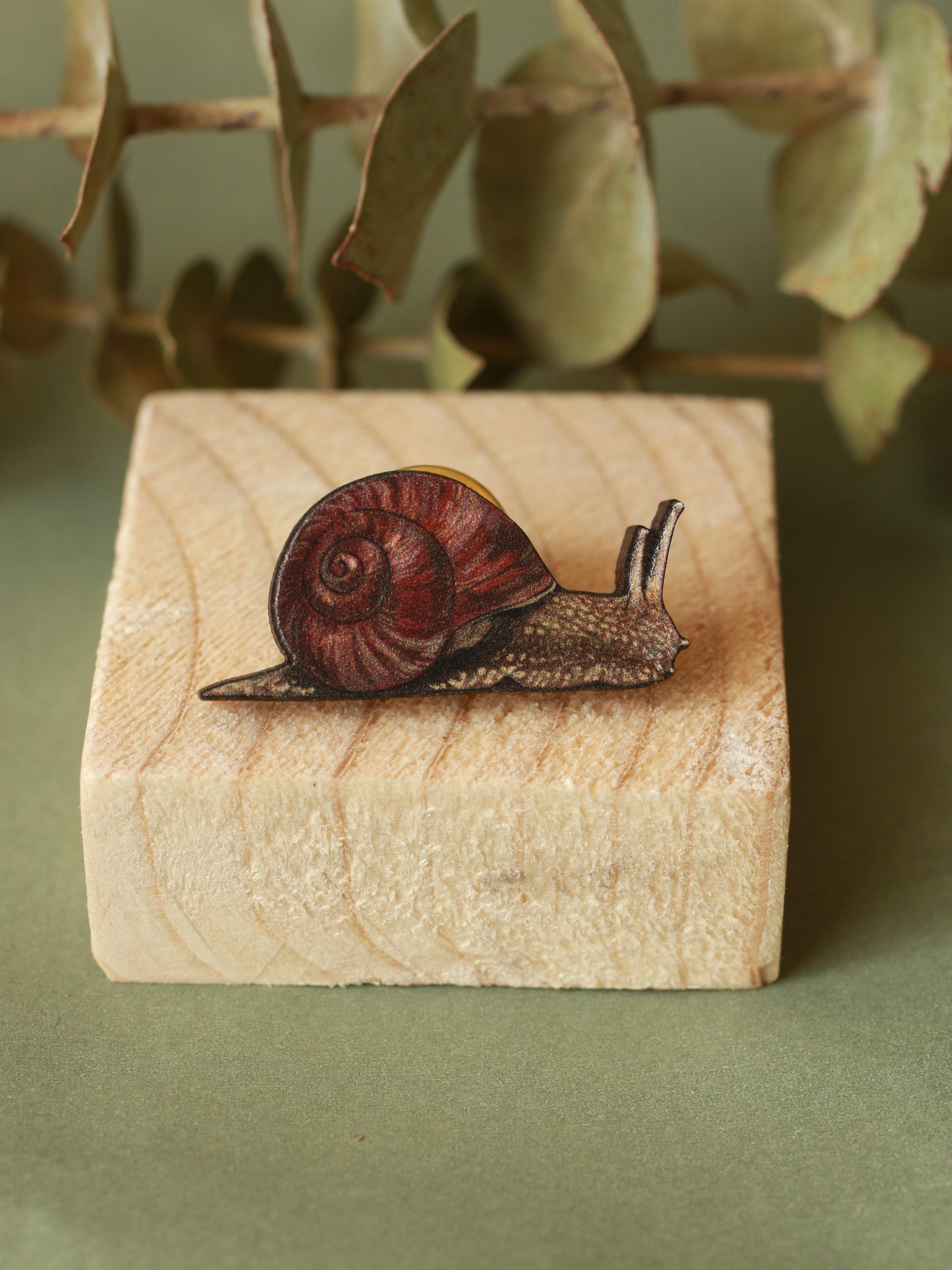 Snail pin - wooden snail brooch