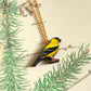 Goldfinch necklace - American goldfinch pendant