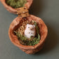 Hedgehog necklace in a walnut box