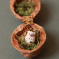 Hedgehog necklace in a walnut box