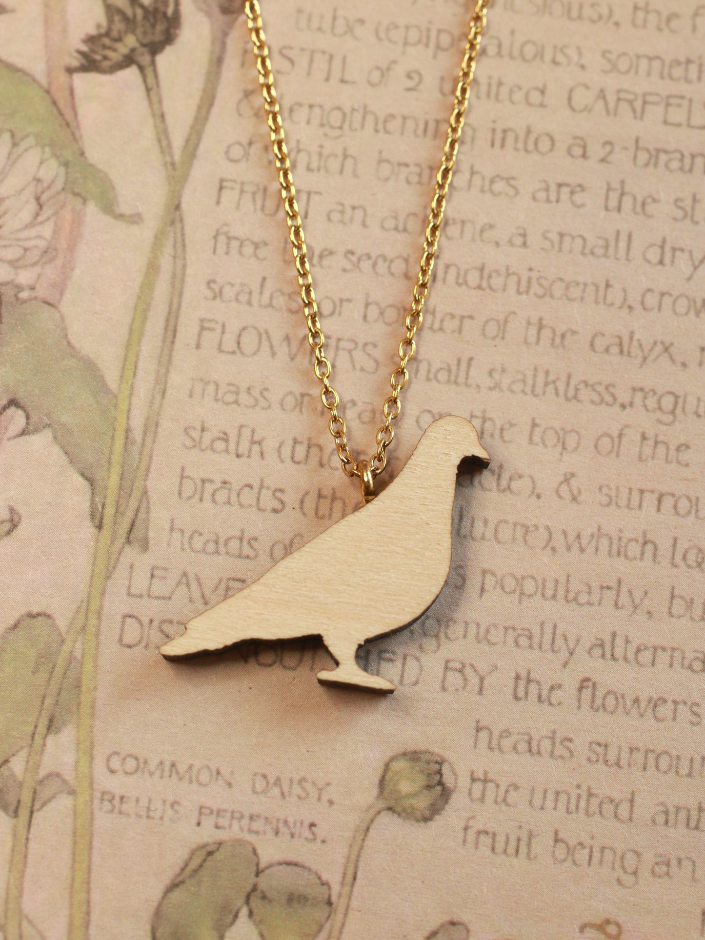 Pigeon necklace