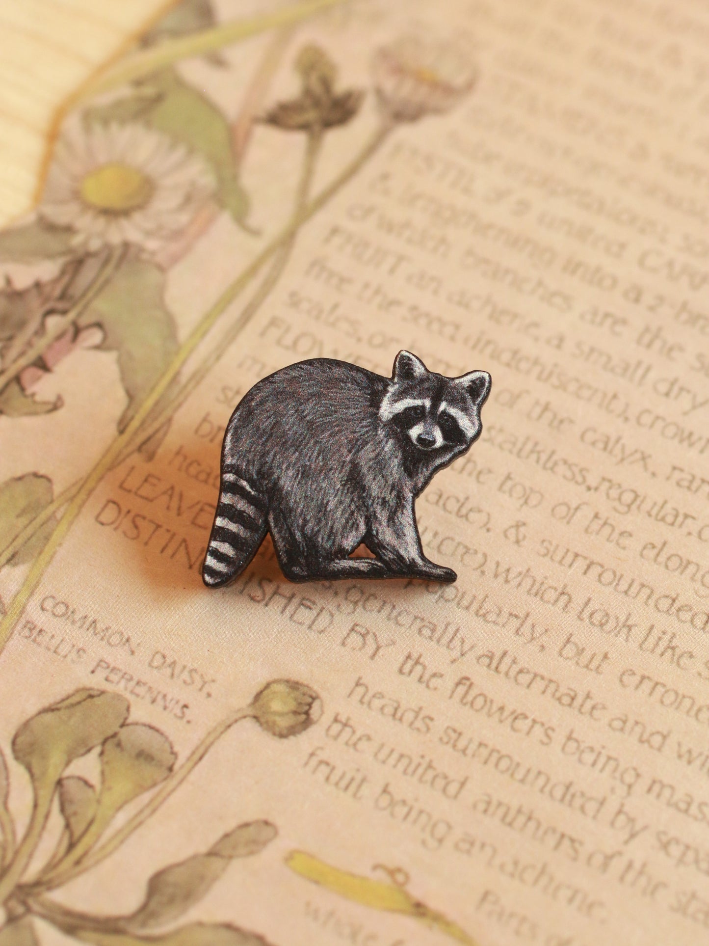 Raccoon pin - Wooden raccoon brooch