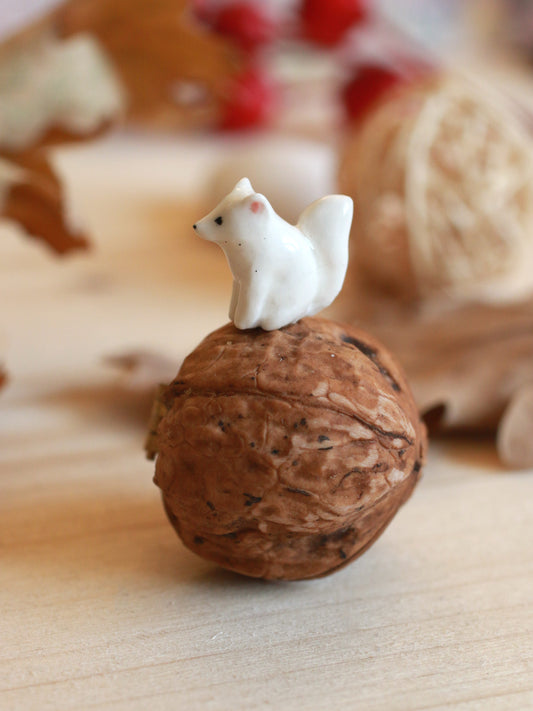 Arctic Fox figure in a walnut box