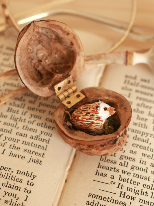 Hedgehog figure in a walnut box
