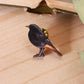 Black redstart pin - wooden bird brooch