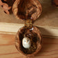 Baby owl necklace in a nutshell box