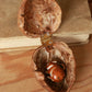 Sleeping bunny necklace in a walnut box