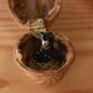 Black bear necklace in a walnut box