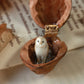 Barn owl necklace in a nutshell box