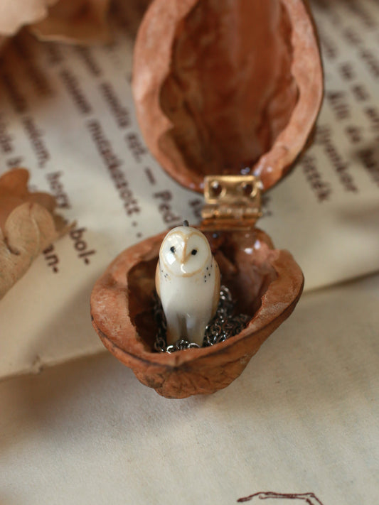 Barn owl necklace in a nutshell box