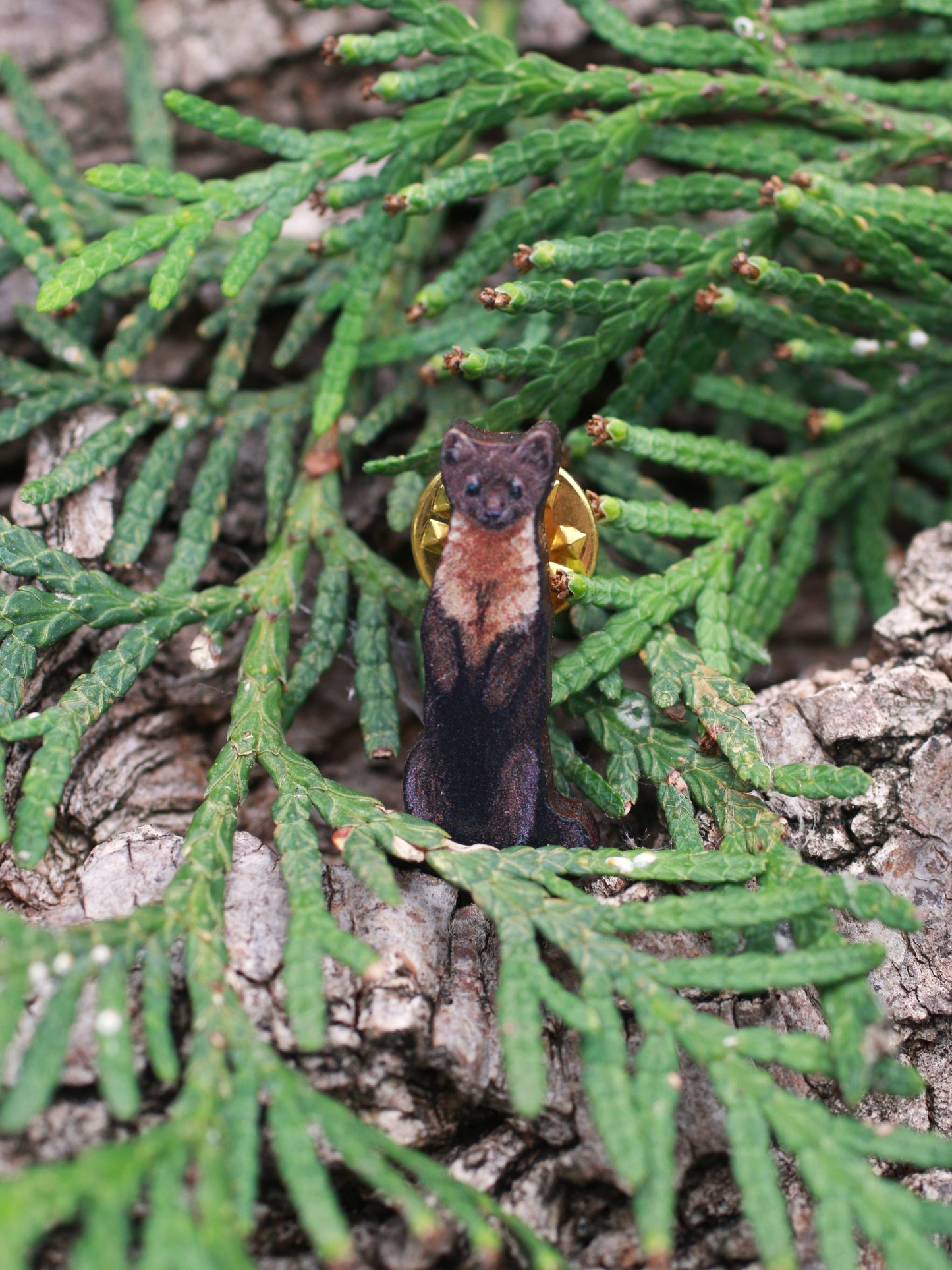 Pine marten pin