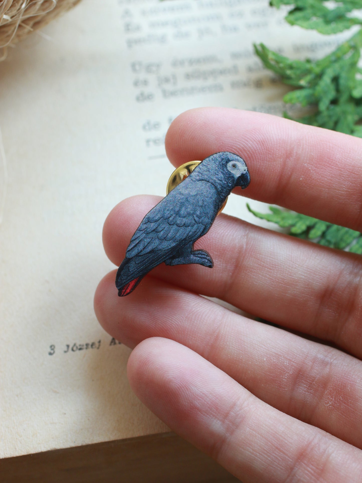 African grey parrot pin