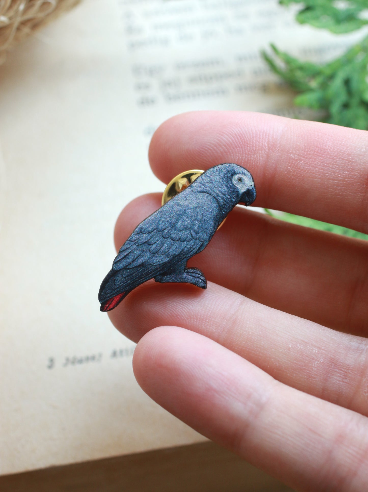 African grey parrot pin