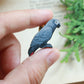 African grey parrot pin