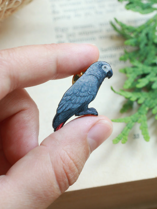 African grey parrot pin