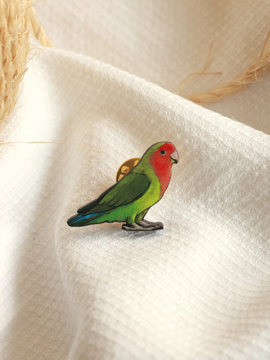 Rosy-faced lovebird pin - parrot brooch