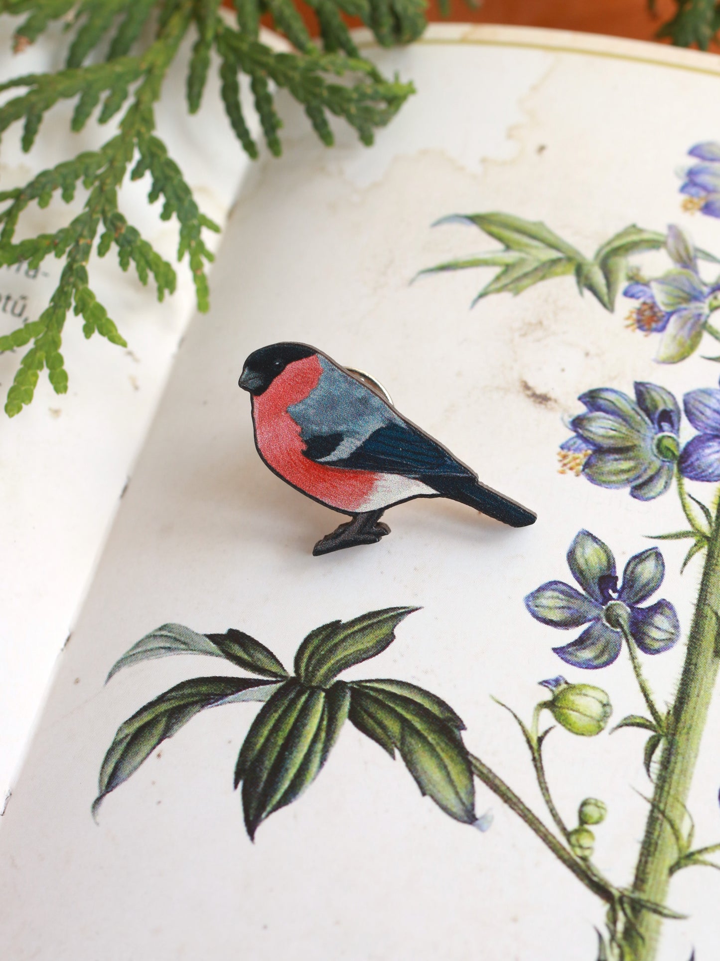 Bullfinch pin - wooden bird brooch