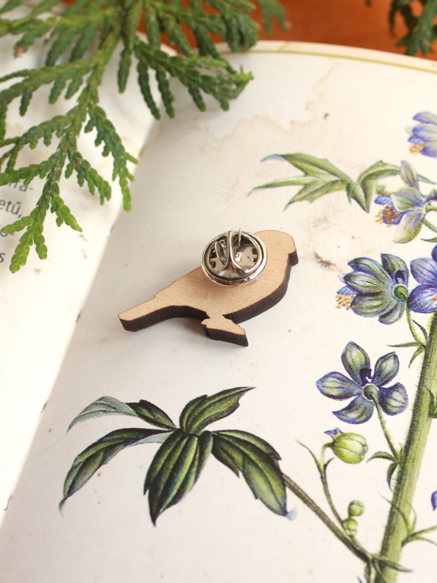 Bullfinch pin - wooden bird brooch