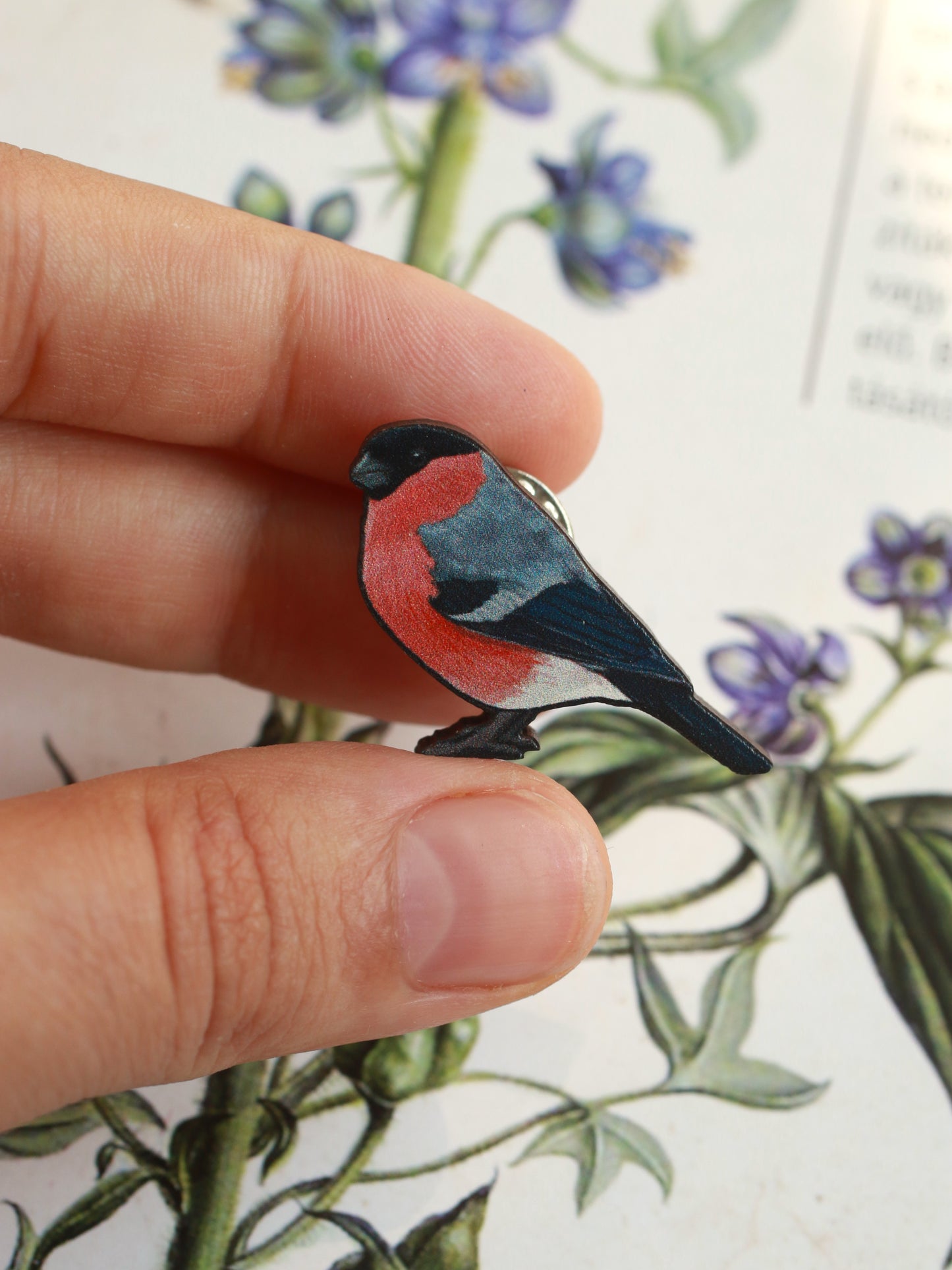 Bullfinch pin - wooden bird brooch