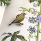 Greenfinch pin - wooden Greenfinch brooch