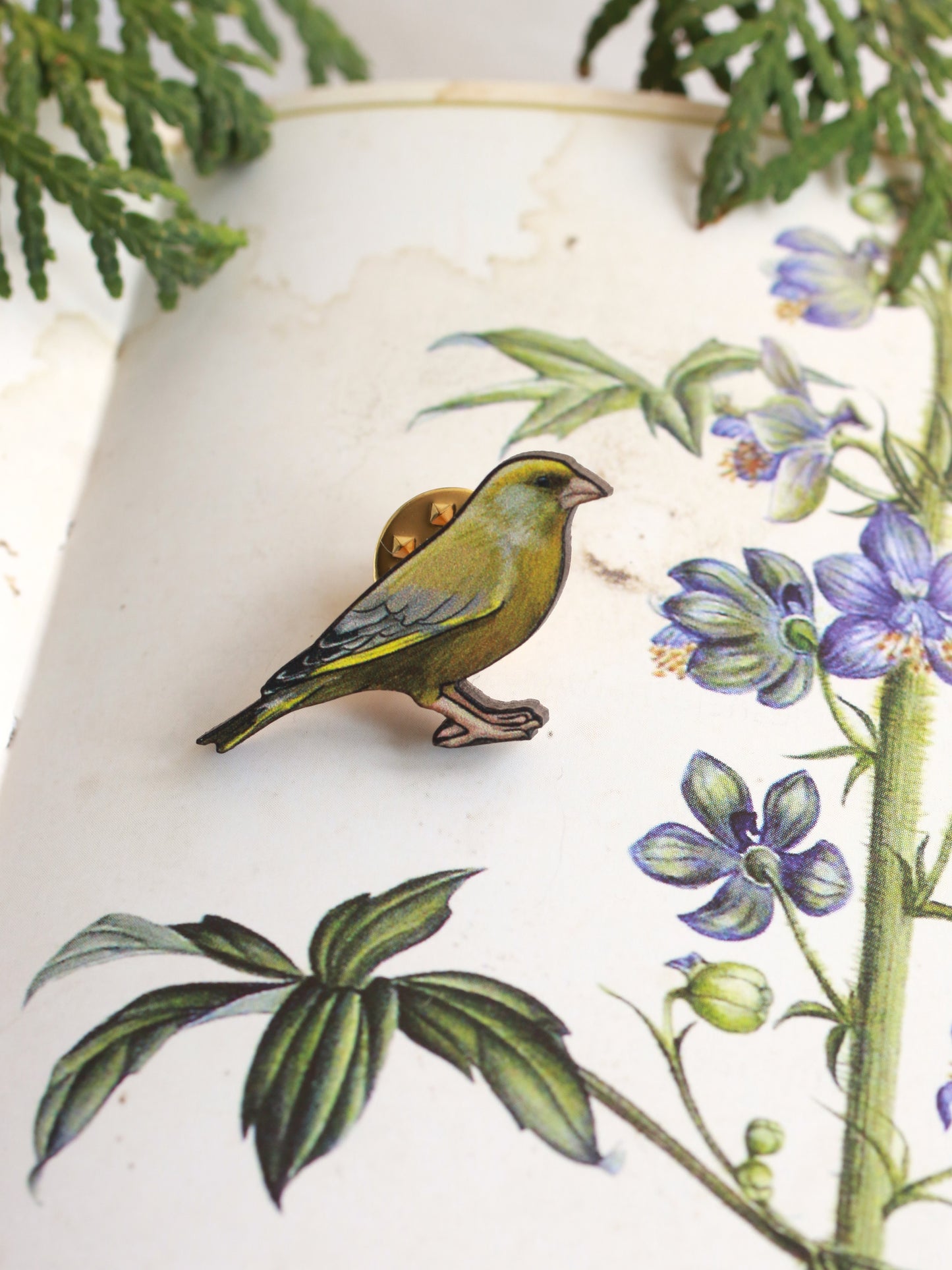 Greenfinch pin - wooden Greenfinch brooch