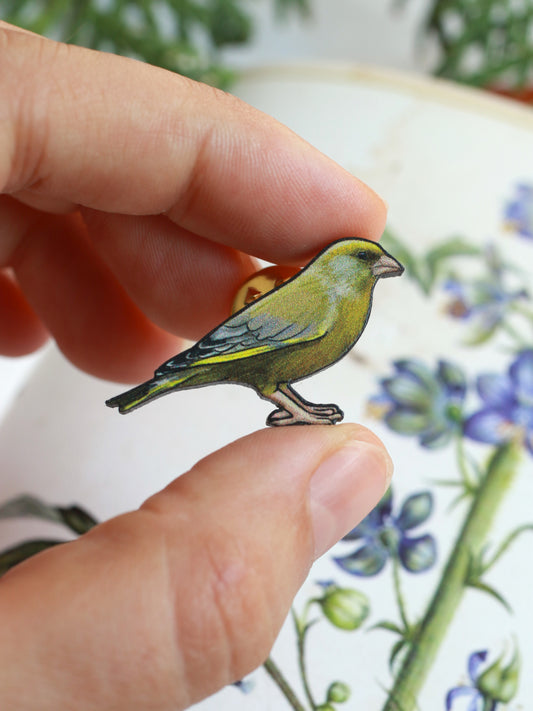 Greenfinch pin - wooden Greenfinch brooch