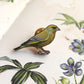 Greenfinch pin - wooden Greenfinch brooch