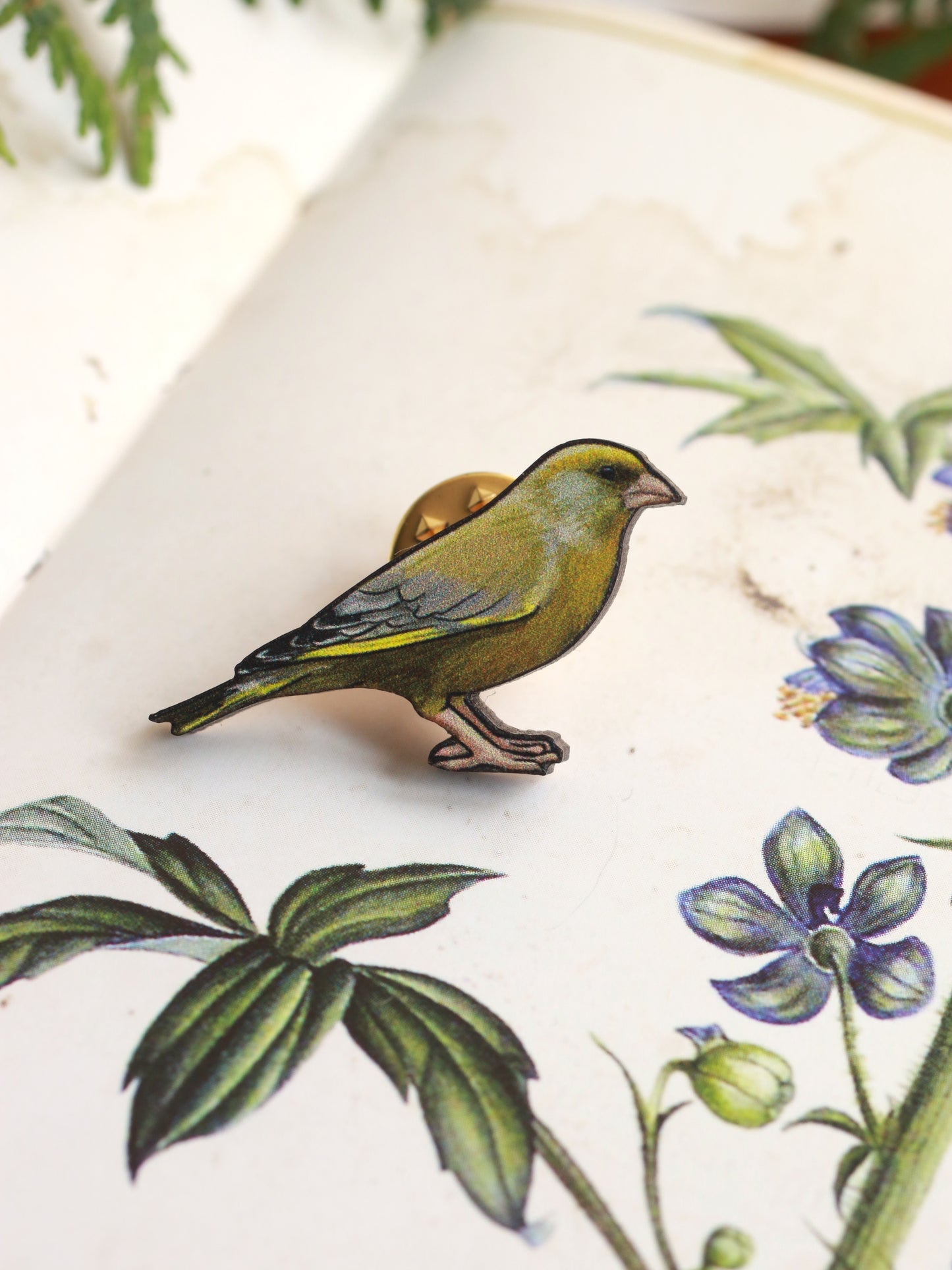 Greenfinch pin - wooden Greenfinch brooch