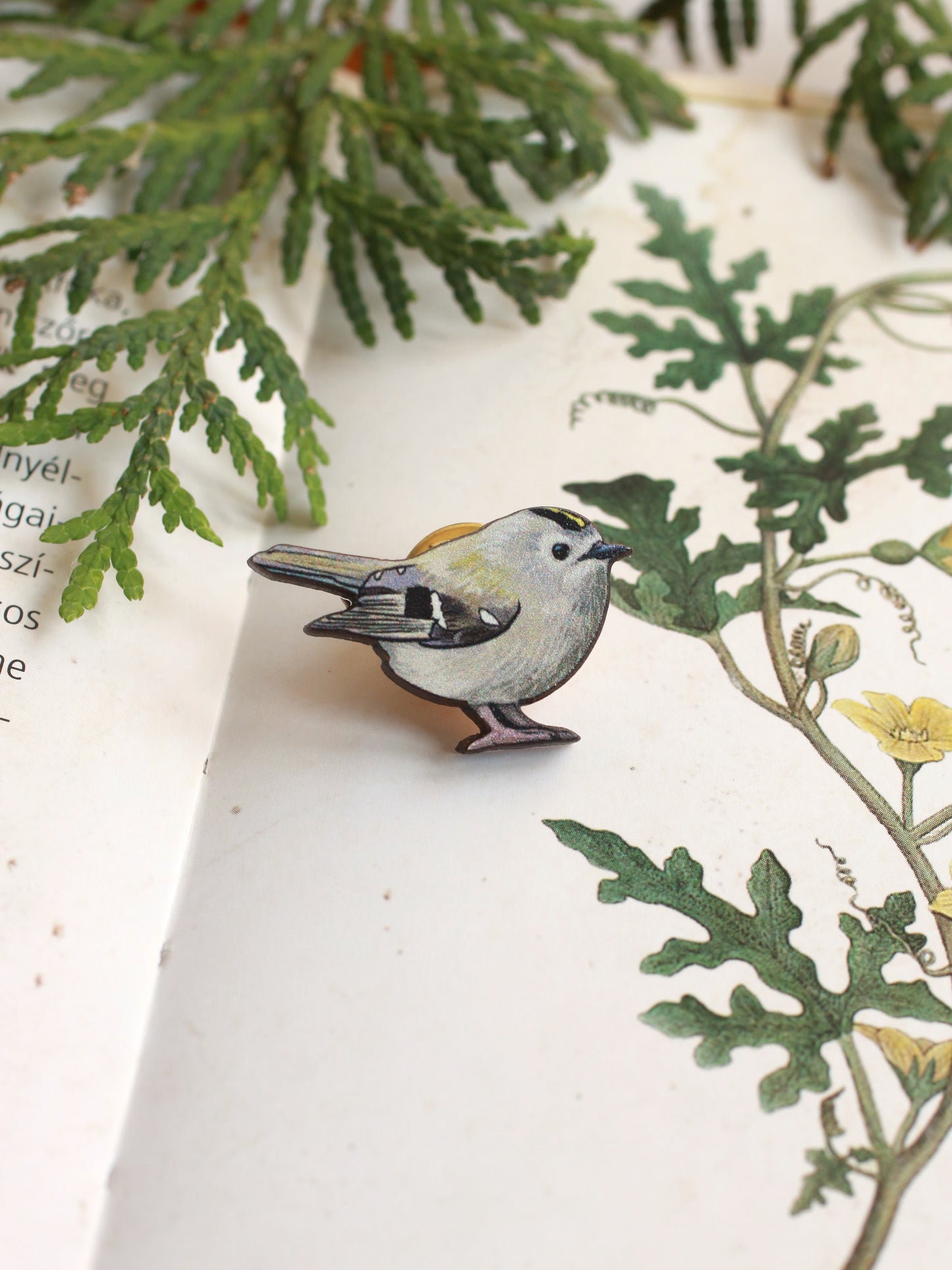 Goldcrest pin