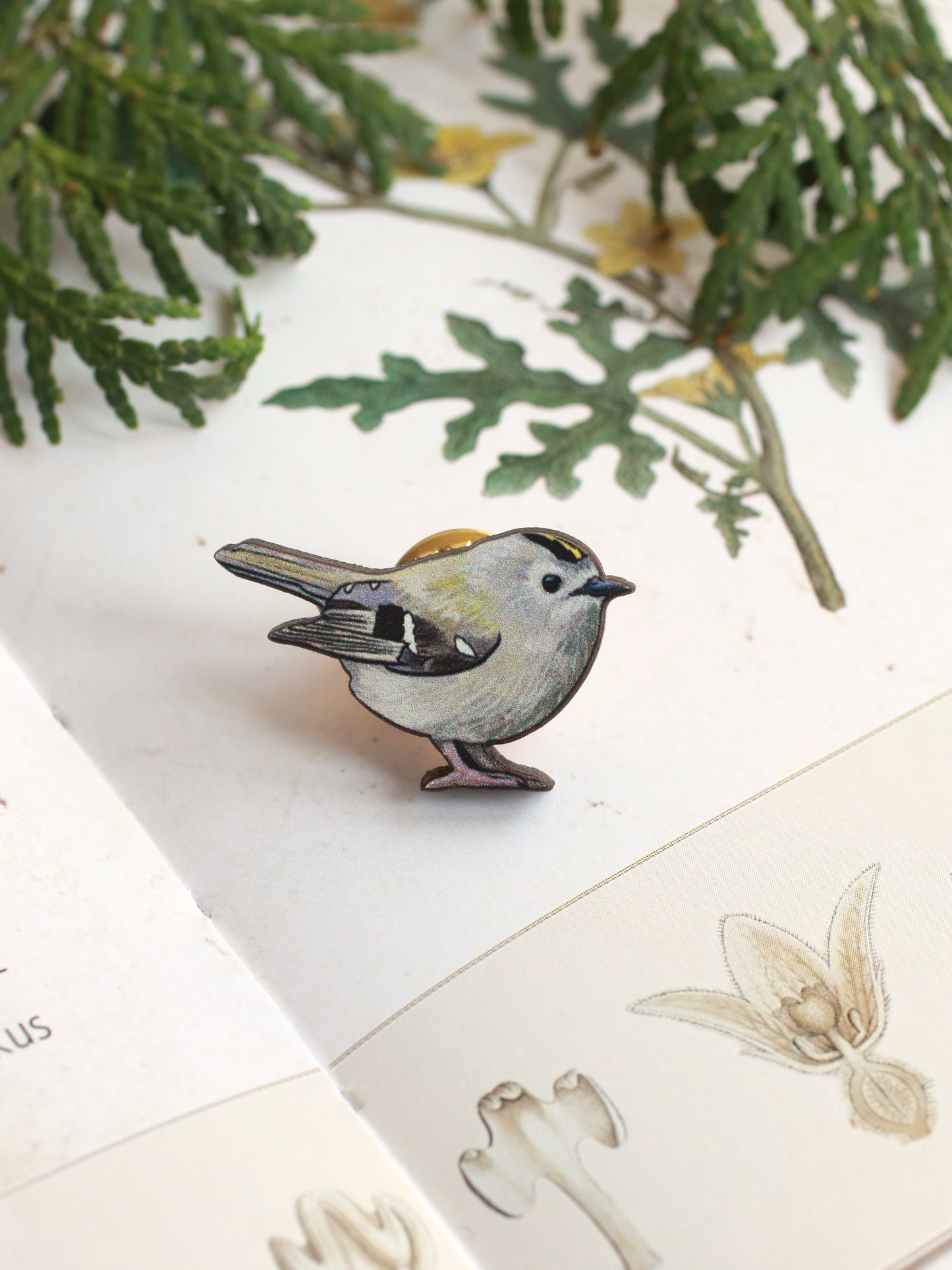 Goldcrest pin