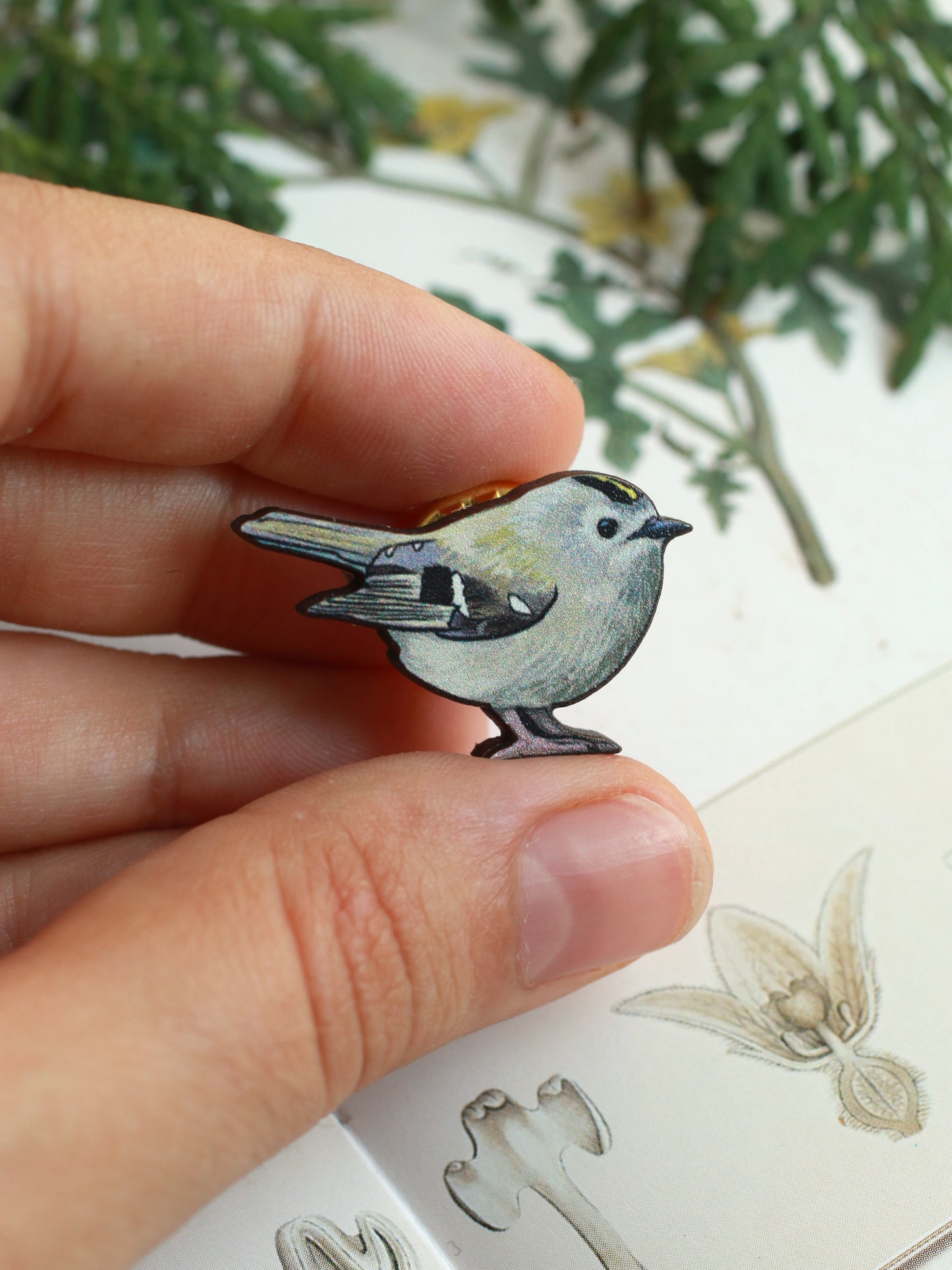 Goldcrest pin