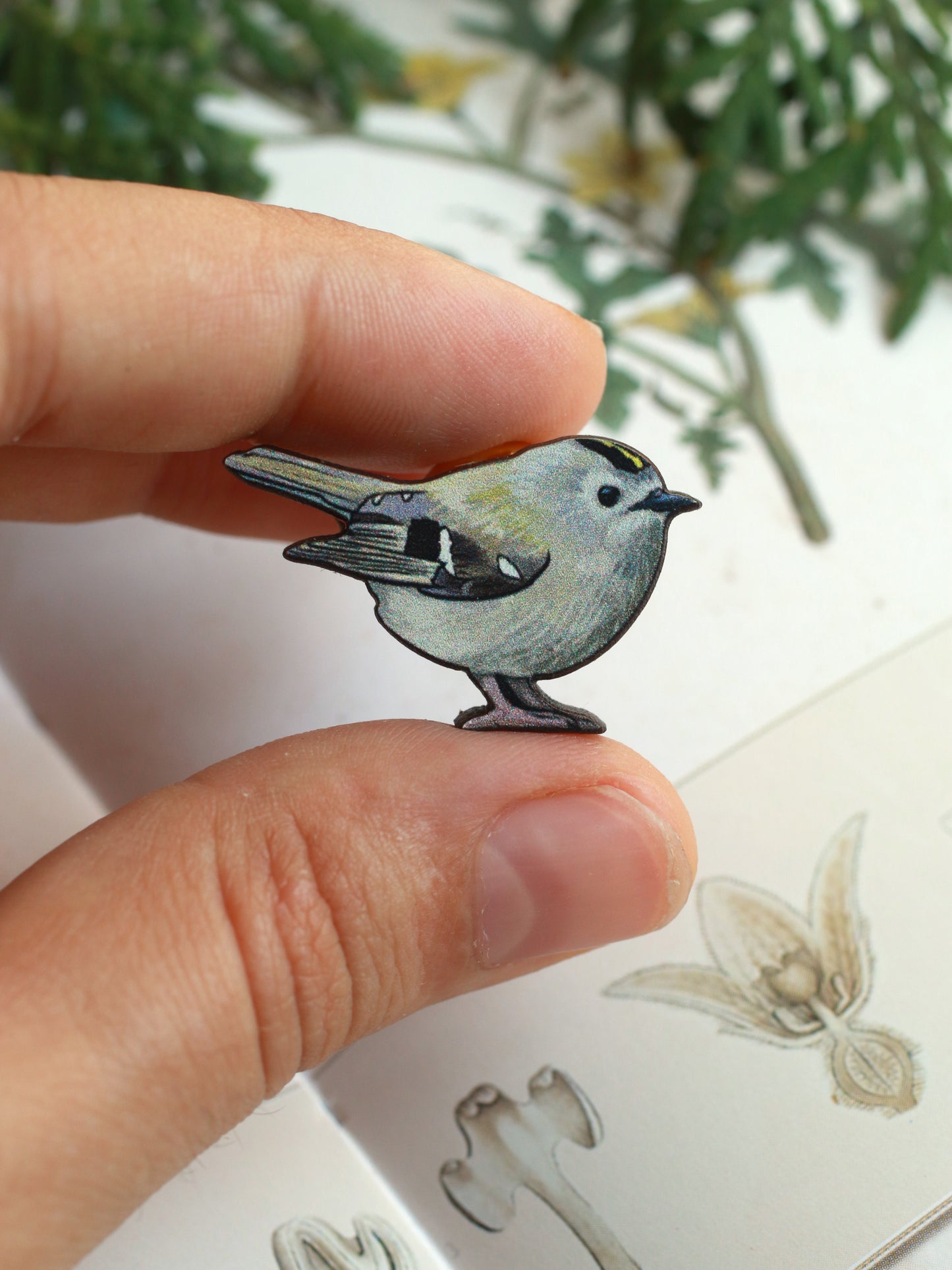 Goldcrest pin