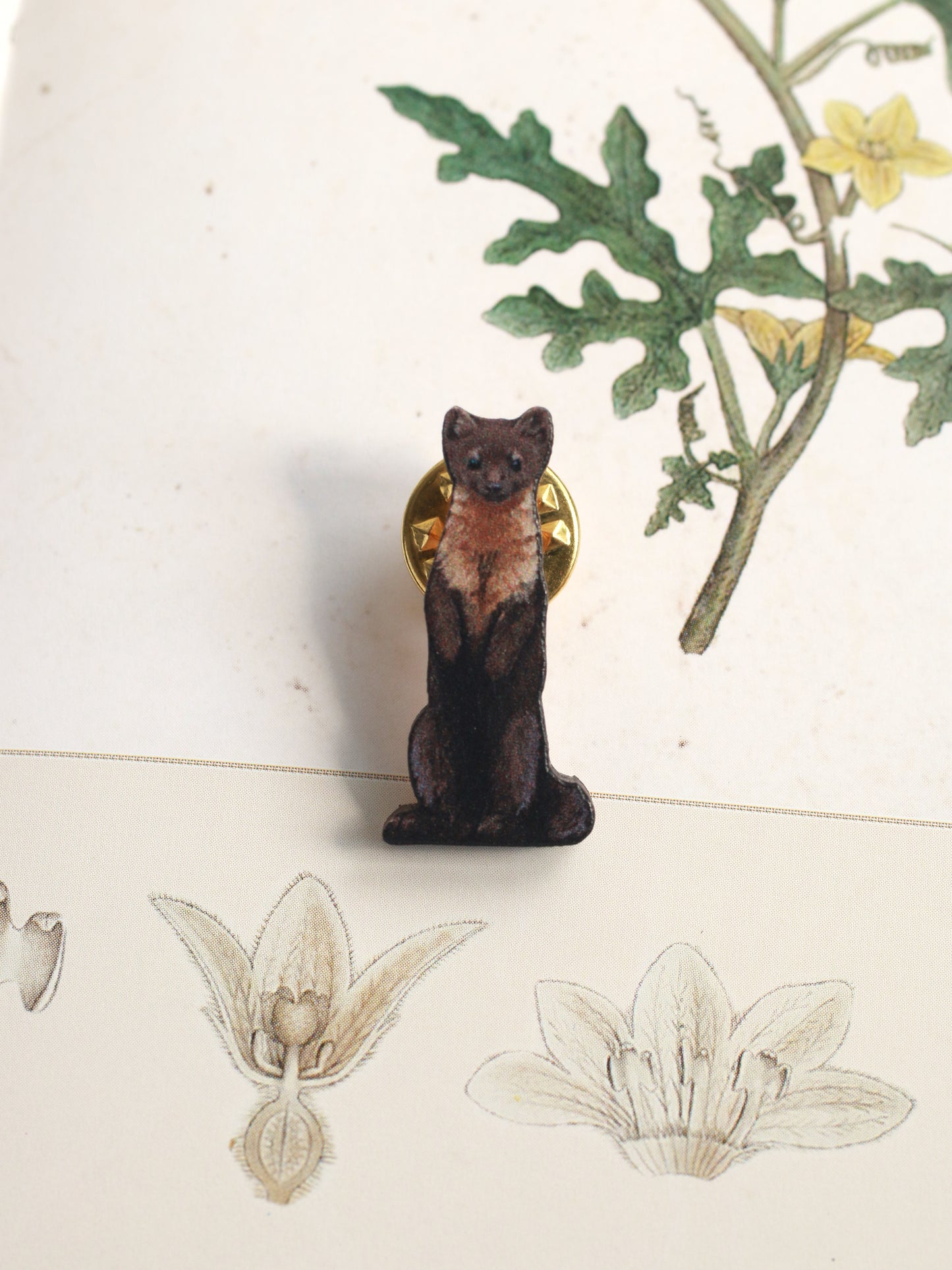 Pine marten pin