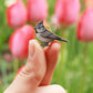Crested tit pin - wooden bird pin