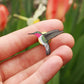 Hummingbird pin - wooden bird pin