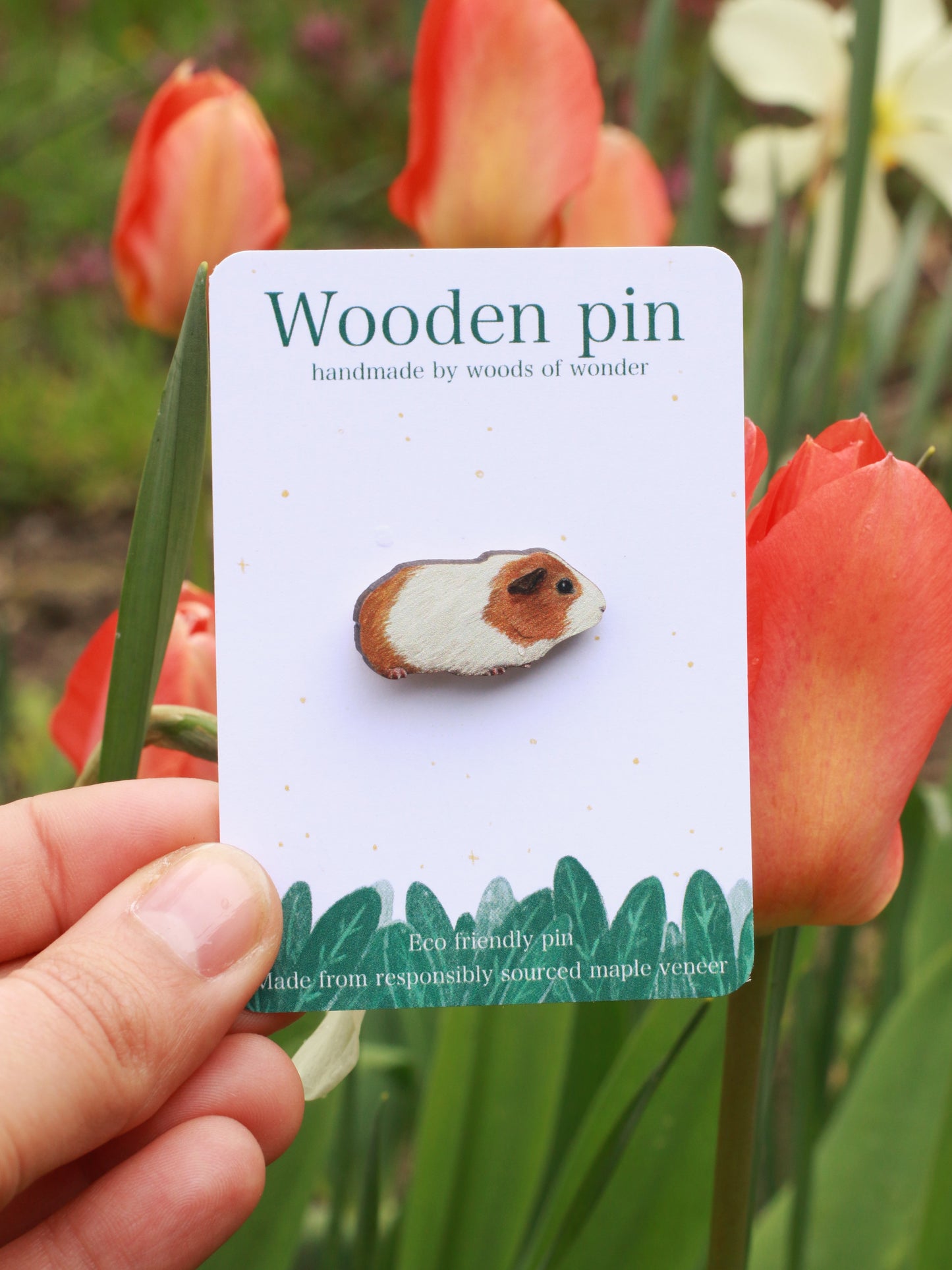 Guinea pig wooden pin