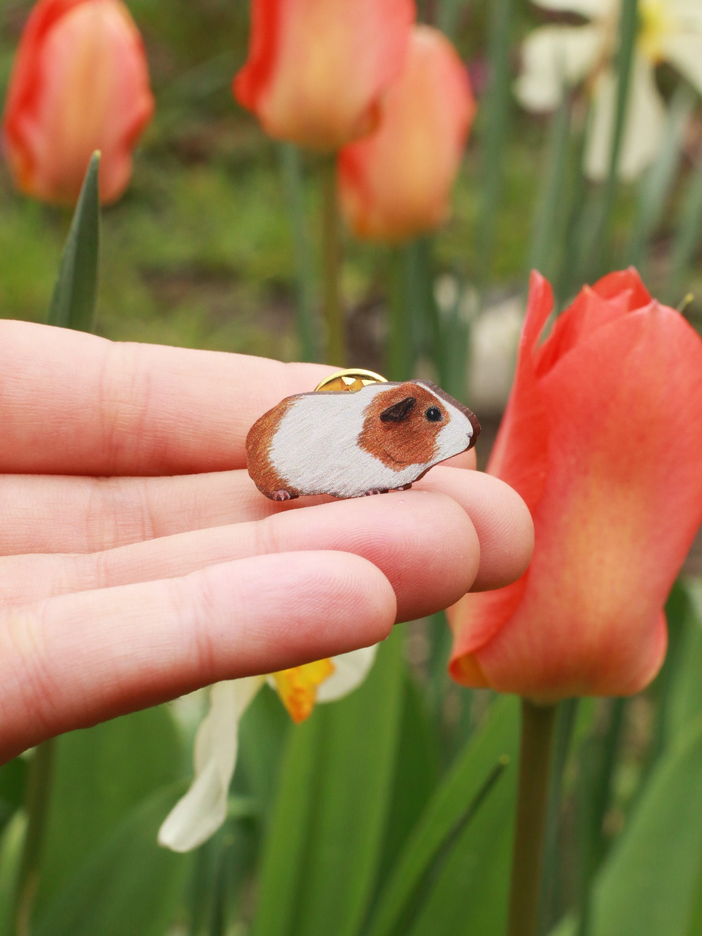 Guinea pig wooden pin