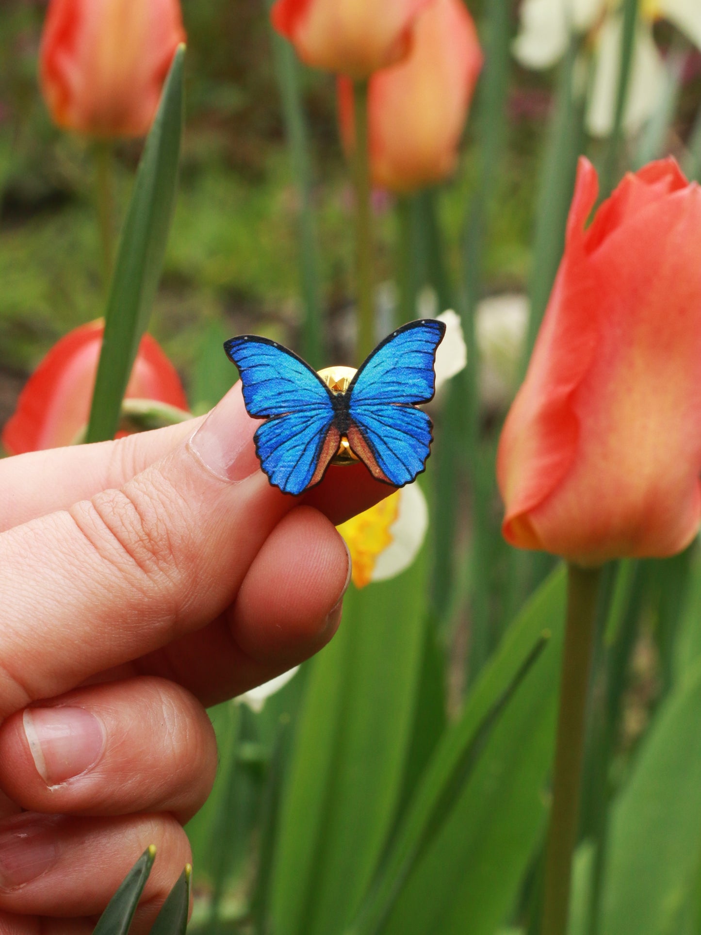 Blue Morpho butterfly - wooden pin