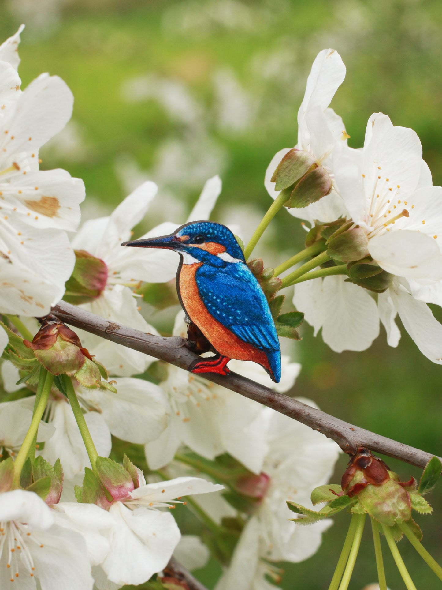 Kingfisher pin - wooden bird pin