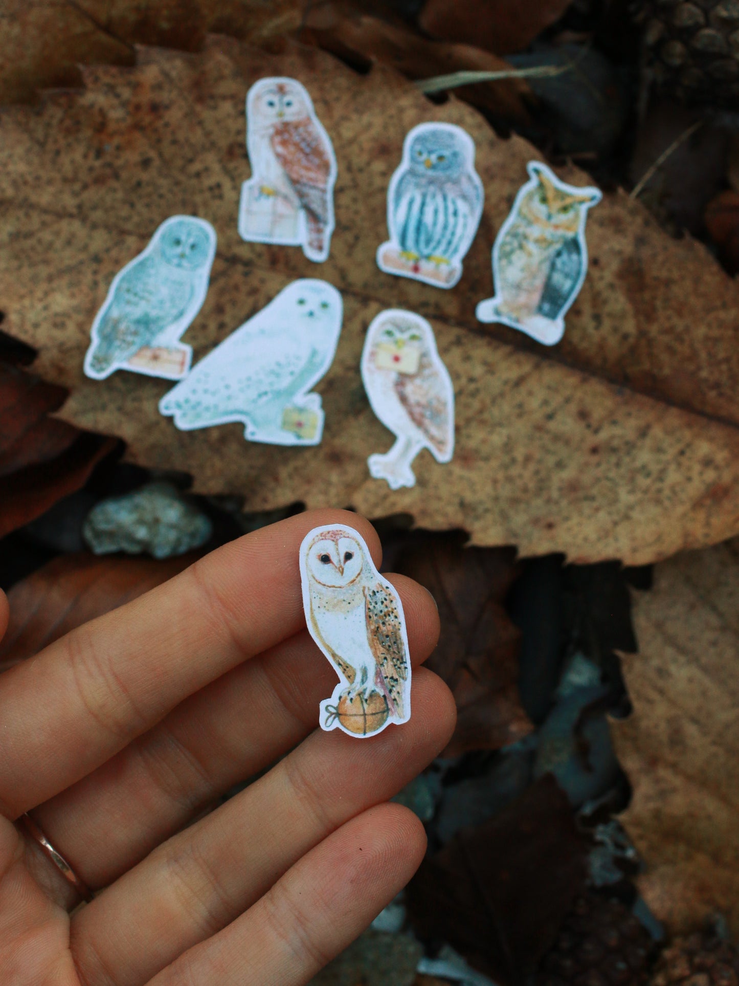 Postal owls stickers set
