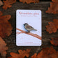Sparrow pin - wooden bird pin