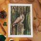 Great horned owl - A6 art print - postcard