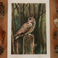 Great horned owl - A5 art print