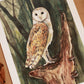 Barn owl - A5 art print