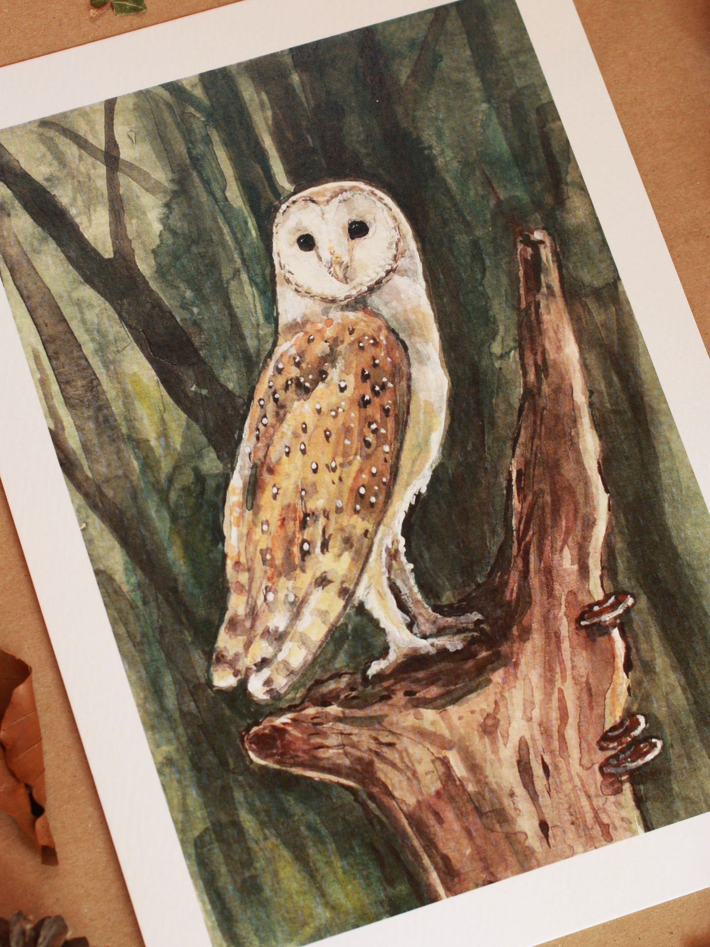 Barn owl - A5 art print