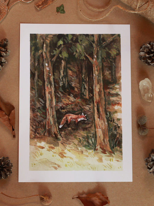 Fox in the forest - A5 art print