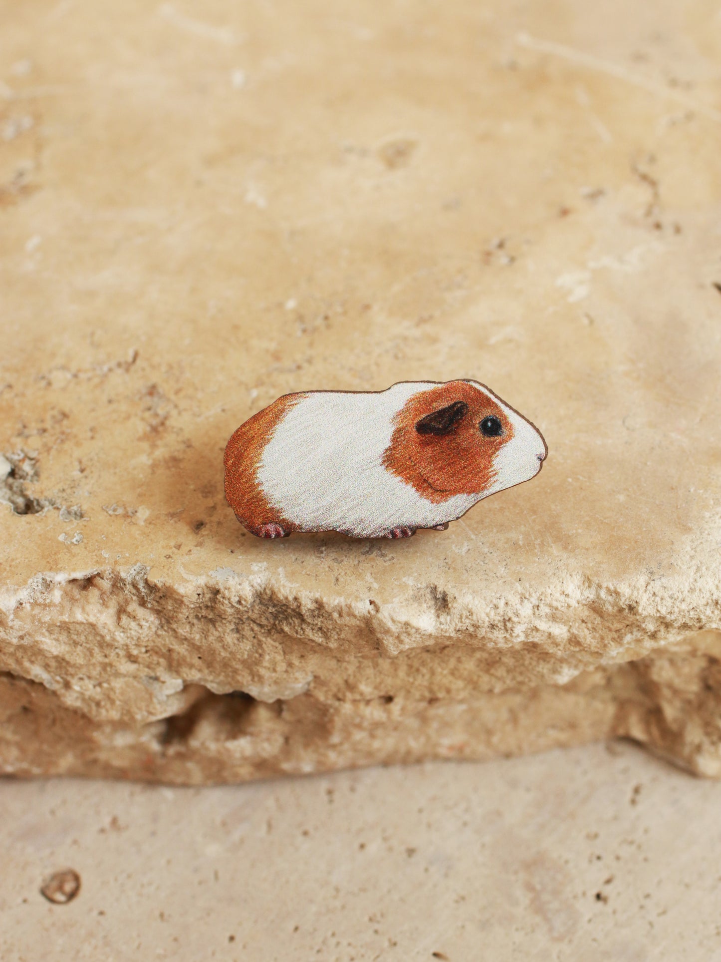 Guinea pig wooden pin